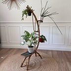 Porte-plantes rotin 10