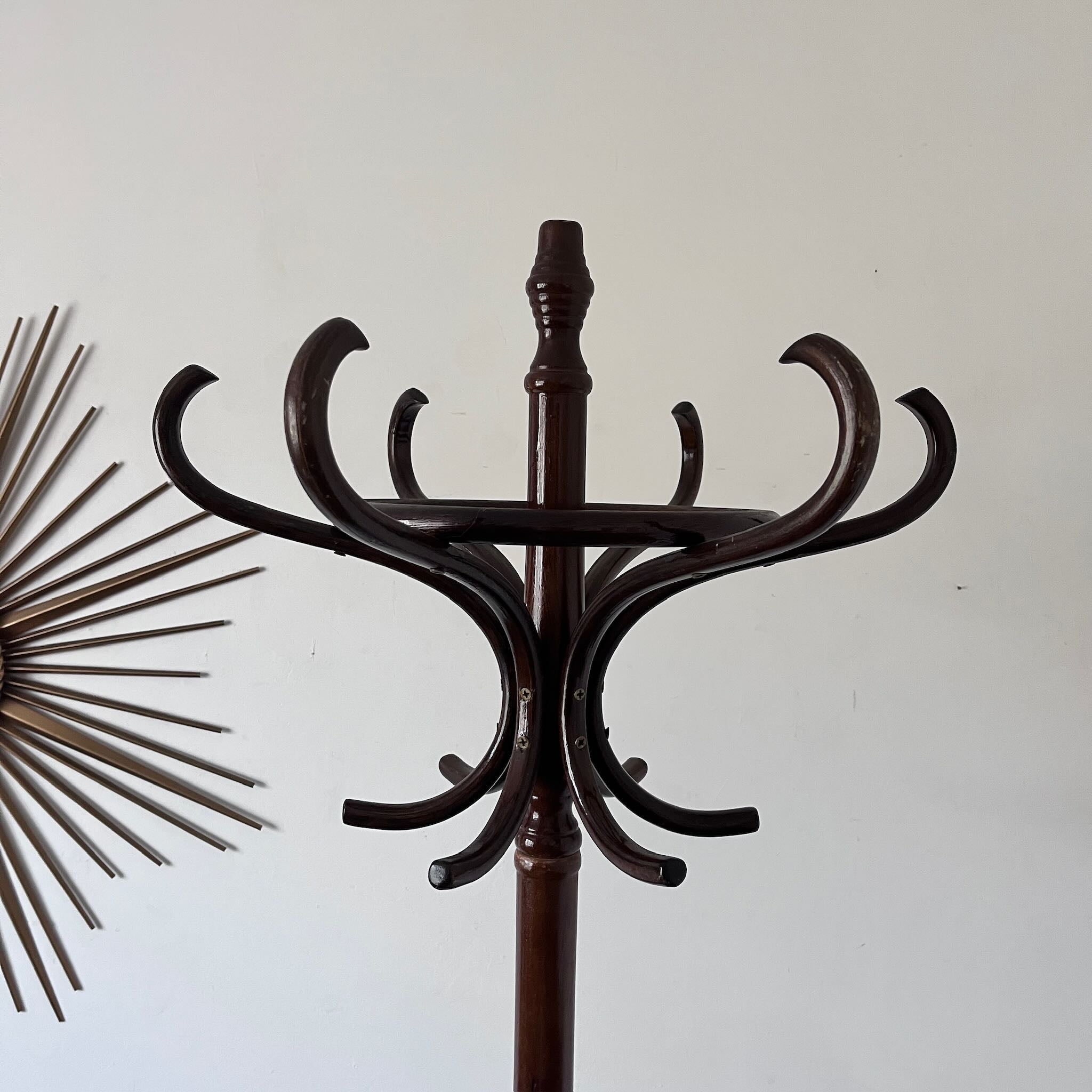 Porte-manteau perroquet