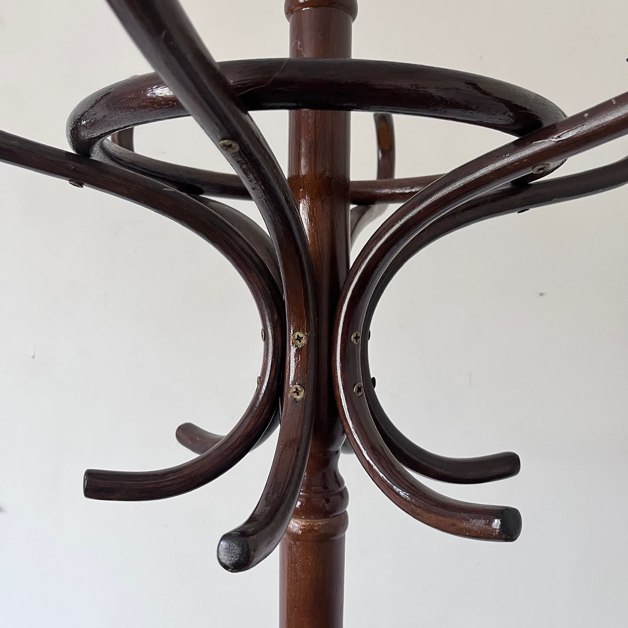 Porte-manteau perroquet